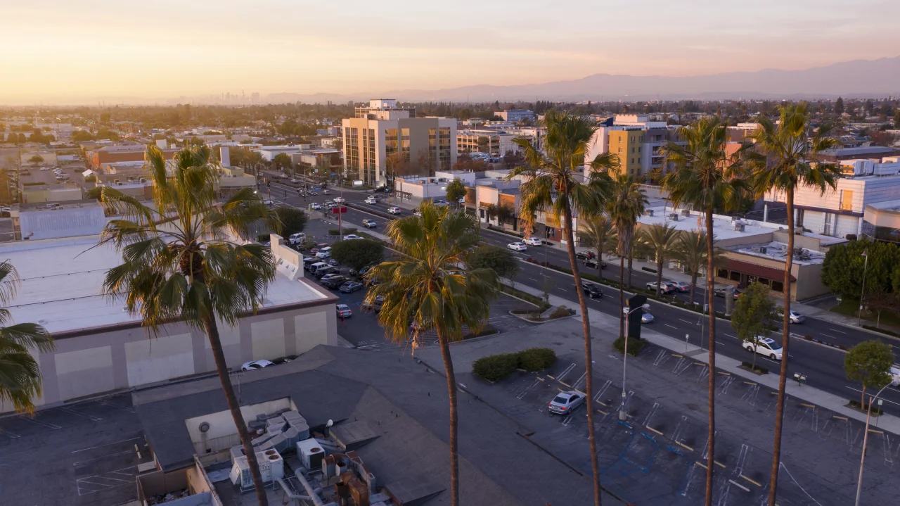 Aerial view of a tree-lined Downey, California residential street at golden hour